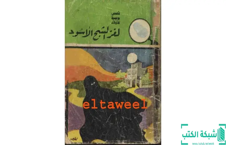 تحميل كتاب لغز الشبح الأسود PDF - محمود سالم 1 تحميل كتاب لغز الشبح الأسود PDF - محمود سالم